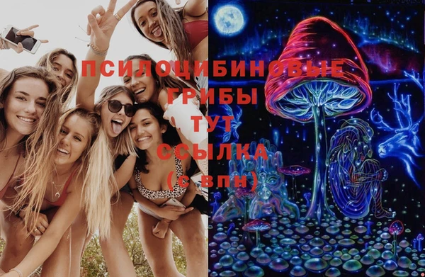 мдпв Абаза